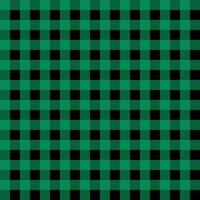 Buffalo plaid green background photo