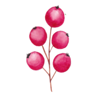 ilustración de flores y hojas png