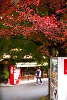 escena pintoresca de otoño en japón foto