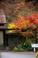 Picturesque scene of autumn in Japan photo