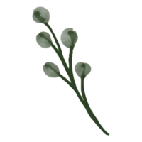 fiore e foglia illustrazione png