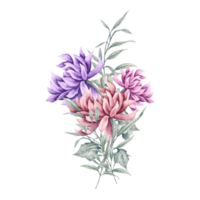 Flower and Leaf Illustration png