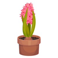 blumen- und blattillustration png