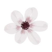 ilustración de flores y hojas png