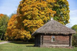 traditional russian log house with straw roof and one window in front of autumn lane with yellow autumn maple trees photo