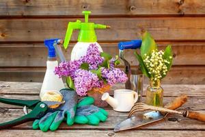 Gardening tools, watering can, shovel, spade, pruner, rake, glove, lilac, lily of the valley flowers on vintage wooden table. Spring or summer in garden, eco, nature, horticulture hobby concept. photo