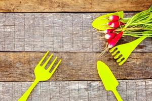 Gardening Tools on wooden background photo