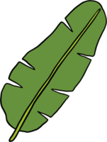 simplicity banana leaf freehand continuous drawing flat design. png
