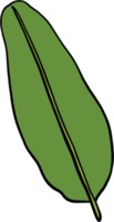 simplicity banana leaf freehand continuous drawing flat design. png