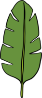 simplicity banana leaf freehand continuous drawing flat design. png