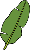 simplicity banana leaf freehand continuous drawing flat design. png