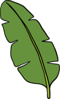 simplicity banana leaf freehand continuous drawing flat design. png