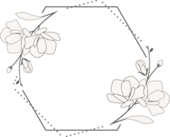 doodle line art magnolia blooming flower minimal frame for banner or logo png