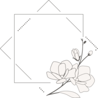 doodle line art magnolia blooming flower minimal frame for banner or logo png