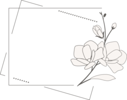 doodle line art magnolia blooming flower minimal frame for banner or logo png