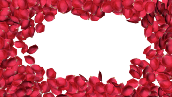 Scattered Rose Petal Frame Border, Designed for Valentines Day, Rose Day or Any Romantic Movement Put Your Text in Middle, 3D Rendering