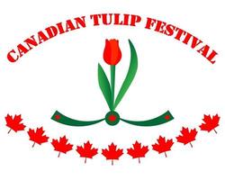 festival de tulipanes canadienses sobre un fondo blanco vector