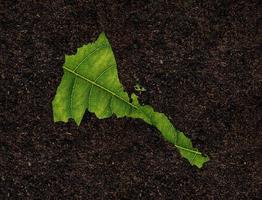 Eritrea map made of green leaves on soil background ecology concept photo