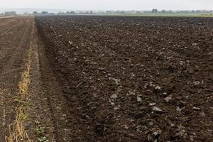 freshly plowed soil field in the foggy morning - close wide angle view with edge-to-edge sharpness photo