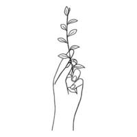 Line art minimal of hand holding organic plant in hand drawn concept for decoration, doodle contemporary style vector