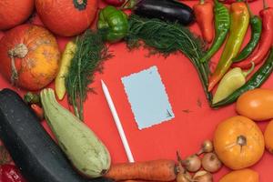 Vegetables are laid out around a sheet of paper and a pencil. Empty space for text. Vegetables, empty blank for recipe on a red background. photo