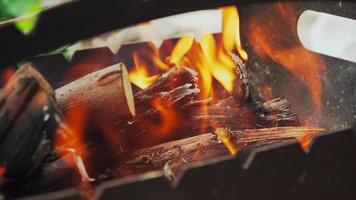 ved är brinnande i de grill närbild. eldig bål utomhus camping brand. tungor av flamma. picknick i de natur. skog brand fara video