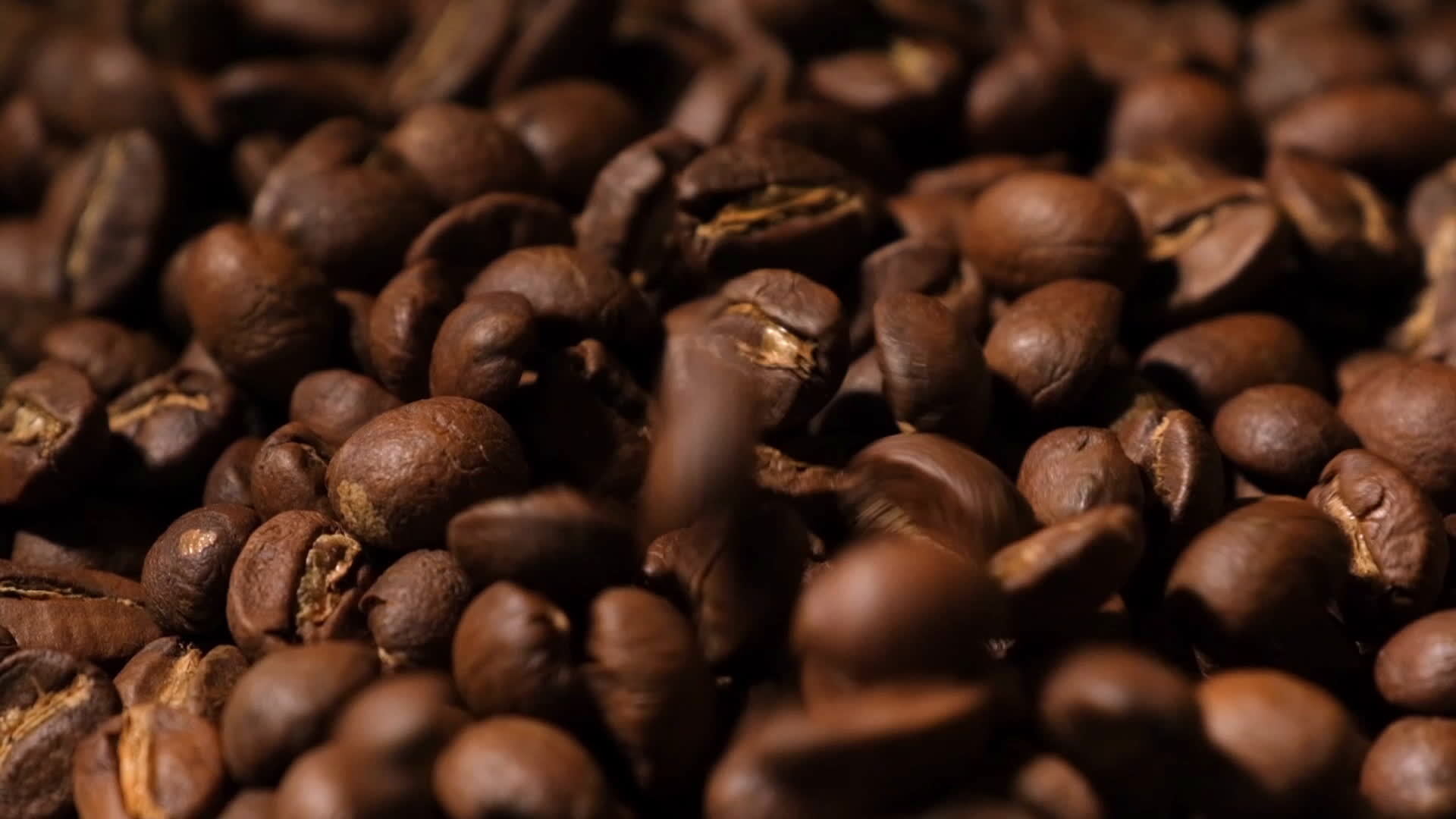 Slow motion of roasted coffee beans falling. Organic coffee seeds. 12671525 Stock Video at Vecteezy