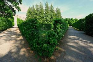 laberintos de arbustos triangulares del palacio de schonbrunn en viena, austria. foto