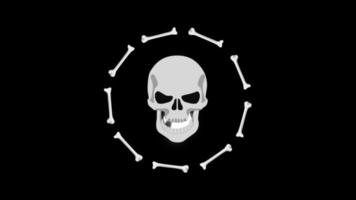 halloween bones and skull falling down copy space animation motion graphics video transparent background with alpha channel