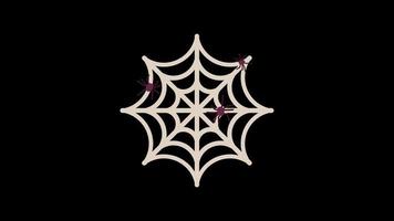 spider on spider web moving motion graphics video transparent background with alpha channel