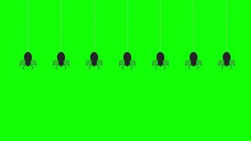 Halloween ragno sospeso animazione movimento grafica video trasparente sfondo con alfa canale