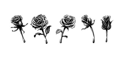 Detailed Vintage Rose Collection Set vector