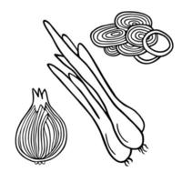 A set of onions in the doodle style on a white background vector