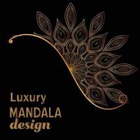 Luxury mandala background design vector