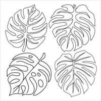 Conjunto de hojas de palmera tropical aislado sobre fondo blanco. vector