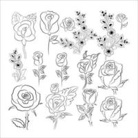 Imágenes de rose line drawing vector