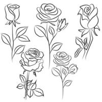 Rose line drawing Images vector