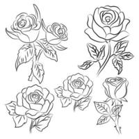 Hand drawn Rose line drawing Images vector