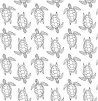 Vector seamless pattern of hand drawn turtle