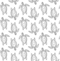 Vector seamless pattern of hand drawn turtle