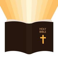 Bright light from book holy bible. Study bible. Vector illustration.