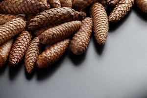 pile of fir cones on black plastic background photo