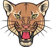 Cougar Face Color Vector Illustration