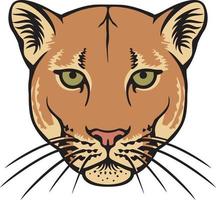 Cougar Head Color Vector Illustration