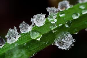 gotas de agua sobre un fondo de hoja foto