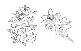 Line art flower vector. Modern Graphic Flowers vector illustration.