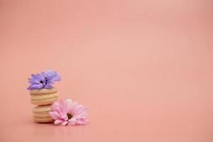 Round beautiful sweets macaroni with flowers on a pink background. Still life with macaroni cakes and different flower. Copy space. Banner photo