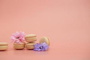 Round beautiful sweets macaroni with flowers on a pink background. Still life with macaroni cakes and different flower. Copy space. Banner photo