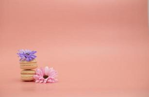 Round beautiful sweets macaroni with flowers on a pink background. Still life with macaroni cakes and different flower. Copy space. Banner photo