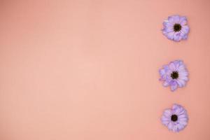 diseño creativo hecho con flores de colores muy peri gerberas sobre un fondo rosa.banner con espacio para texto. tarjeta de felicitación. copie el espacio para su texto. foto